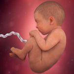 Samen Zwanger _ 39 weken zwanger – trimester 3 week 39 foto (3)