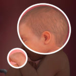 Samen Zwanger _ 40 weken zwanger – trimester 3 week 40 foto (2)