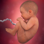 Samen Zwanger _ 40 weken zwanger – trimester 3 week 40 foto (3)