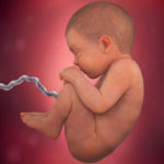Samen Zwanger _ 41 weken zwanger – trimester 3 week 41 foto (3)