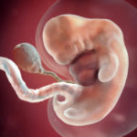 Samen Zwanger _ 7 weken zwanger 1 – trimester 1 week 7