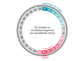 Bepaal je vruchtbare dagen via je cyclus!