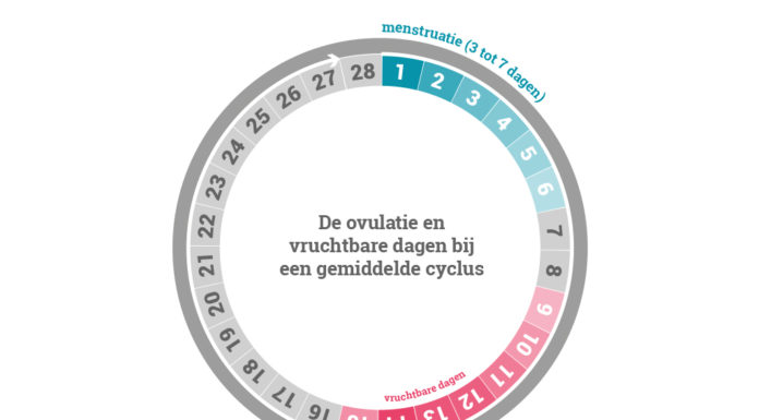 Bepaal je vruchtbare dagen via je cyclus!
