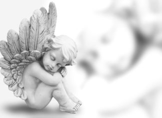 ‘Akte van geboorte (levenloos)’ vervangt ‘Akte levenloos geboren kind’ Samen Zwanger - 'Akte van geboorte (levenloos)' vervangt 'Akte levenloos geboren kind'