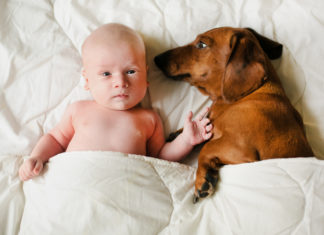 De hond van Sanne was bij haar bevalling: ‘Ik voelde me heel veilig’ Samen Zwanger - De hond van Sanne was bij haar bevalling 'Ik voelde me heel veilig'