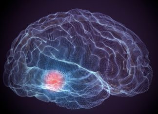 Kinderen nemen met een zieke partner: Ellen weet hoe heftig dat is Samen Zwanger - Kinderen nemen met een zieke partner, Ellen weet hoe heftig dat is