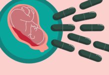 Liever geen broodje placenta Samen Zwanger - Liever geen broodje placenta