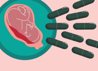 Liever geen broodje placenta Samen Zwanger - Liever geen broodje placenta