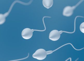 Onderzoekers uit Boston introduceren doe-het-zelf-spermatest op je smartphone Samen Zwanger - Onderzoekers uit Boston introduceren doe-het-zelf-spermatest op je smartphone