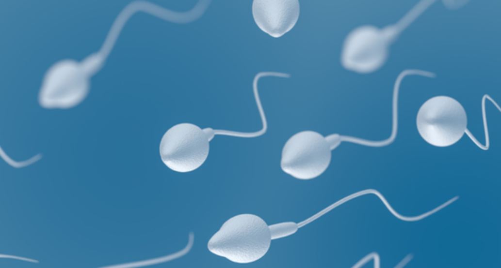 Samen Zwanger - Onderzoekers uit Boston introduceren doe-het-zelf-spermatest op je smartphone