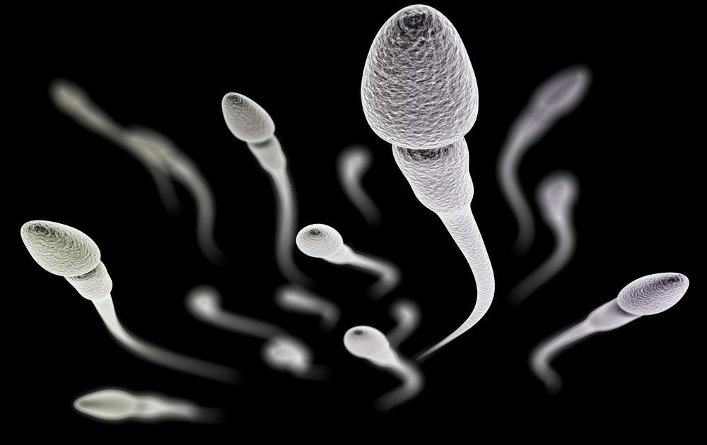 Samen Zwanger - Onrijp sperma geen gezondheidsrisico voor kinderen