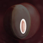 Samen Zwanger _ 4 weken zwanger – trimester 1 week 4 foto (2)