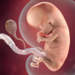 SamenZwanger_10wekenzwanger_600x600_1