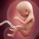 SamenZwanger_17wekenzwanger_600x600_1