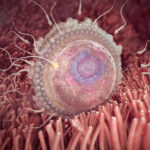 SamenZwanger_2wekenzwanger_600x600_1