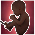 SamenZwanger_34wekenzwanger_600x600_3