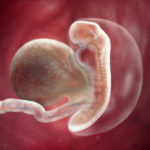 SamenZwanger_5wekenzwanger_600x600_1