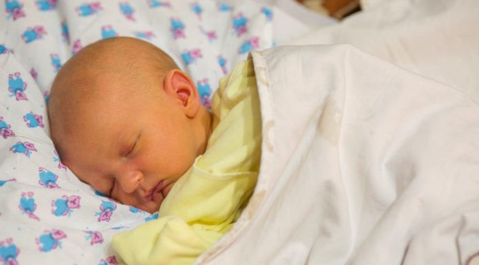 Geelzucht Samen Zwanger - Geelzucht