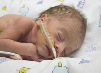 ‘Superneus’ ruikt bloedvergiftiging van baby Samen Zwanger - 'Superneus' ruikt bloedvergiftiging van baby