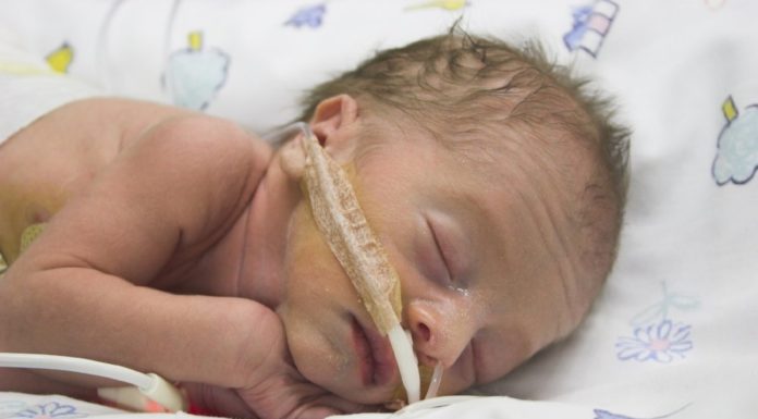 ‘Superneus’ ruikt bloedvergiftiging van baby Samen Zwanger - 'Superneus' ruikt bloedvergiftiging van baby