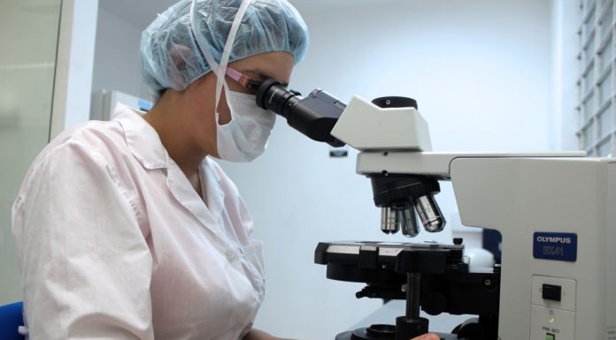 Hoe vruchtbaar zijn mannen? Samen Zwanger - Hoe vruchtbaar zijn mannen