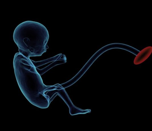 Je placenta opeten is nutteloos en niet zonder risico Samen Zwanger - Je placenta opeten is nutteloos en niet zonder risico