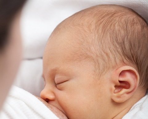 Friesland en Noord-Brabant meest borstvoedingsvriendelijk Samen Zwanger - Friesland en Noord-Brabant meest borstvoedingvriendelijk