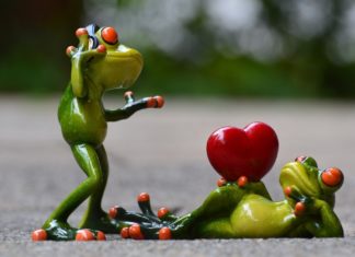 De Baby Mama Dance Challenge: heb jij het al gedaan? Samen Zwanger - De Baby Mama Dance Challenge