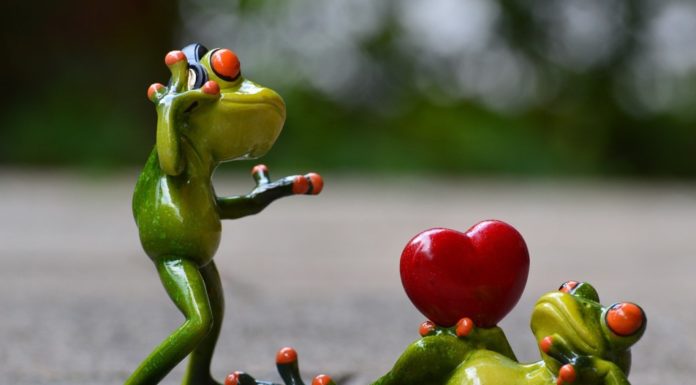 De Baby Mama Dance Challenge: heb jij het al gedaan? Samen Zwanger - De Baby Mama Dance Challenge