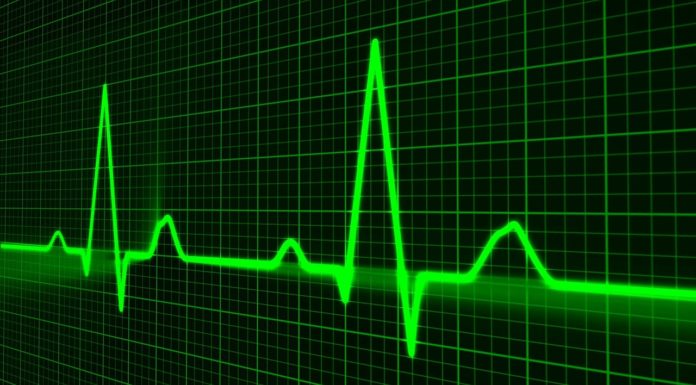 Ongeboren baby gered door 3D model van het hart Samen Zwanger - Ongeboren baby gered door 3D model van het hart