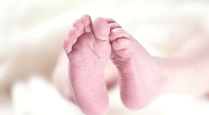 Wiegendood bestaat in feite amper Samen Zwanger - Wiegendood bestaat amper