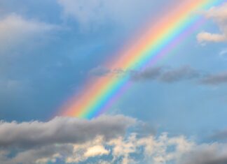 Regenboogbaby’s Samen Zwanger - Regenboogbaby's