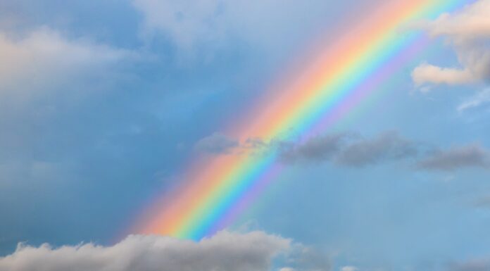 Regenboogbaby’s Samen Zwanger - Regenboogbaby's